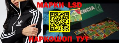 крисы Ставрополь
