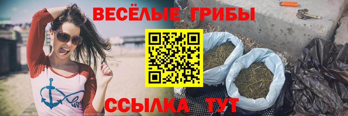 Нефтеюганск  где найти   Вход с VPN  Галлюциногенные грибы MAGIC MUSHROOMS 